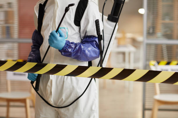 Professional Sewage Cleanup technician working in Davenport, NE